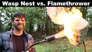 Flamethrower vs. Wasp Nest - I was Wrong- One More Time. Mousetrap Monday