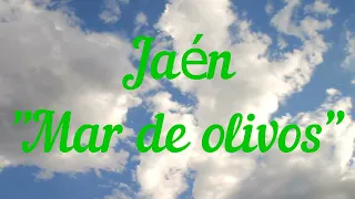 Jaén, "mar de olivos"