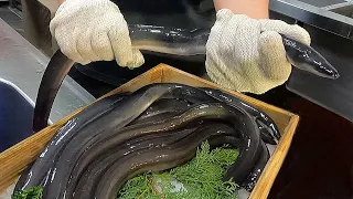 Live eel cutting for grilled eel dishes - Japanese people's favorite food