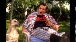 Ace Ventura Pet Detective: What do you feed your Dog? - He's miserable