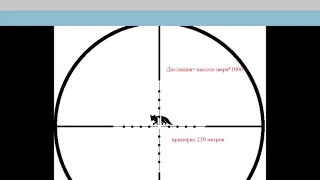 Использование сетки mil dot на практической охоте