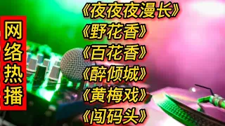 网络热播DJ《夜夜夜漫长》《野花香》《百花香》《醉倾城》黄梅戏