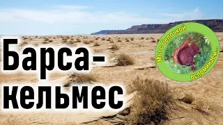 Вспомним остров Барсакельмес! 🦕🗿🛸