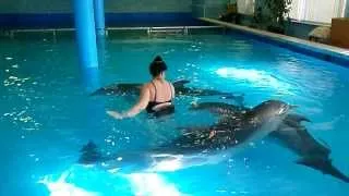 Дельфинотерапия в Лазаревском. Плавание с дельфинами.