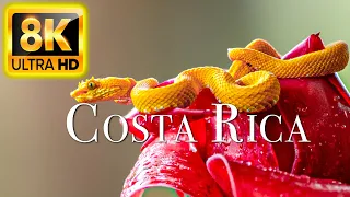 COSTA RICA IN 8K ULTRA HD 60FPS HDR