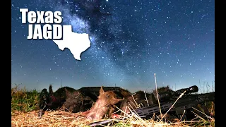 Wheat Vandals in Texas - Wild Pig Hunting with Thermal Scopes