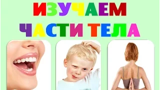 Изучаем части тела. Развивающее видео для малышей