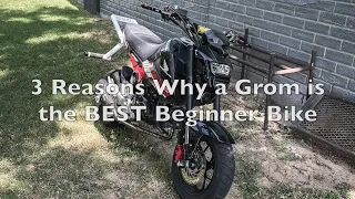 3 Reasons Why a Honda Grom is the BEST Beginner Bike