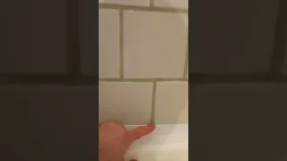 Покраска стен в ванной водостойкой краской.