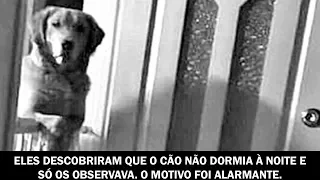 Eles descobriram que o cão não dormia à noite e só olhava para eles. O motivo foi alarmante