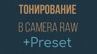 Тонирование в Camera Raw + Preset