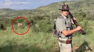 Lion Encounters That Will Give You Chills