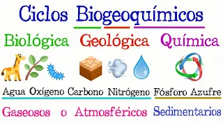 ♻️ Ciclos Biogeoquímicos 🌐 [Fácil y Rápido] | BIOLOGÍA |