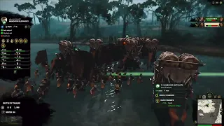 tremendous elephant charge