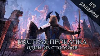 TESO для новичков / Быстрая прокачка