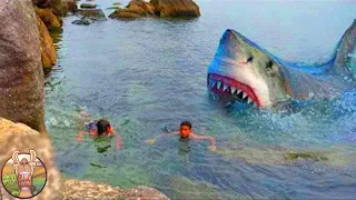 10 Requins Furieux Qui Sont Apparus de Nulle Part!