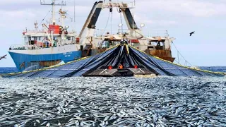 The Most Satisfying Big Catch Fishing in The Sea - Net Fishing Catch Hundreds of Tons of Fish Boat!!