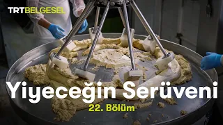 Yiyeceğin Serüveni | Pişmaniye, Erişte ve Beypazarı Kurusu | TRT Belgesel