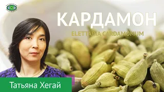 🌱Кардамон. Травничество. Татьяна Хегай