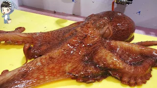 KOREAN STREET FOOD GIANT OCTOPUS DEVIL FISH KOREA SEAFOOD MARKET 포항 송도활어회센터 문어 291220