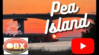 Check out Pea Island OBX