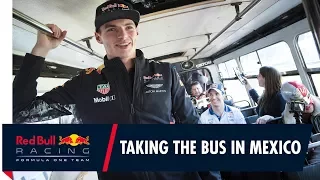 Max Takes The Bus in Mexico!