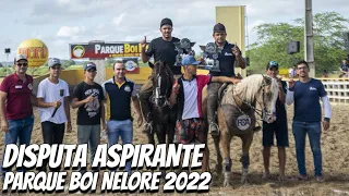 DISPUTA FINAL ASPIRANTE | PARQUE BOI NELORE | PORTAL VAQUEJADA 2022 | FREI MIGUELINHO PE