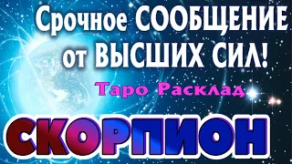 СКОРПИОН Срочное СООБЩЕНИЕ Вам от ВЫСШИХ СИЛ Таро Расклад гадание онлайн