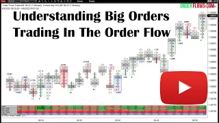 Understanding How Big Orders Trade In The Order Flow Using Orderflows Trader For NinjaTrader 8