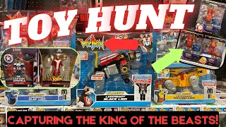 TOY HUNT | I Can’t Believe What I Found! Lions, Street Fighters, & Chases OH MY!! #toyhunt #ross