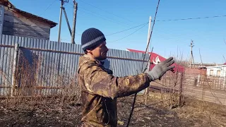 С.Радюкин - 2 основных правила перед посадкой яблонь. Корень и обрезка.