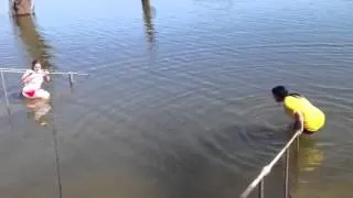 Swimming with the gators