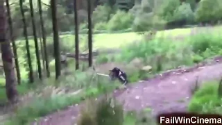 FAIL / WIN Compilation - Funny Videos - Fail Compilation 2015