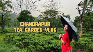 Chandrapur Tea Garden | GUWAHATI VLOG