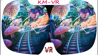 Dream coaster VR VIDEO