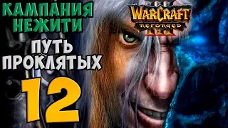 Warcraft III: Reforged. Прохождение. Часть 12 (Врата демонов)