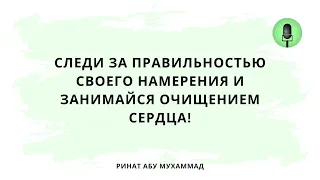 1559. Следи за правильностью своего намерения и занимайся очищением сердца! || Ринат Абу Мухаммад