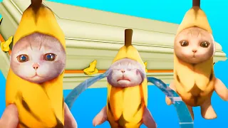 Banana Cat - Coffin Dance Song (COVER)