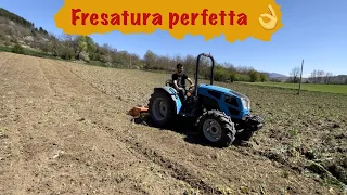 Fresatura Cover Crop - Landini 2-55 con Fresa Maschio Gaspardo E 130