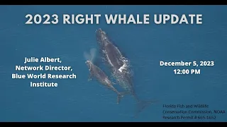 December 2023 Lagoon at Noon: 2023 Right Whale Update