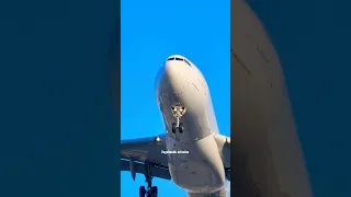 Hawaiian Airlines Airbus A330-243 Landing at LAX airport 🛬 closeup