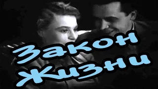 Советские фильмы Закон жизни (1940) | онлайн Смотреть бесплатно