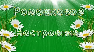 Ромашки для Наташки