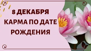 8 декабря - Карма по дате рождения