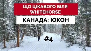 Цікаві місця біля WHITEHORSE: дикі тварини, гарна природа, спорт та місцеві розваги #4