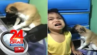 Bata, to the rescue sa aso na pinagalitan dahil sa sinirang kable | 24 Oras Weekend