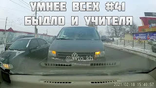 УМНЕЕ ВСЕХ #41. БЫДЛО И УЧИТЕЛЯ НА ДОРОГЕ