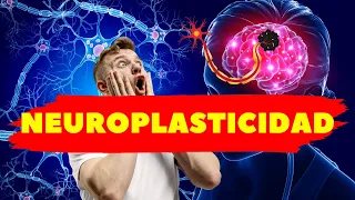 🧠NEUROPLASTOICIDAD (Plasticidad cerebral)| NEUROCIENCIA