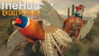 Rancho Del Arroyo: PHEASANT HUNTING! | theHunter: Call of the Wild