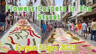 FLOWERS CARPETS CORPUS SITGES IN THE STREET || CORPUS CHRISTI 2023